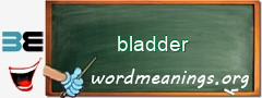 WordMeaning blackboard for bladder